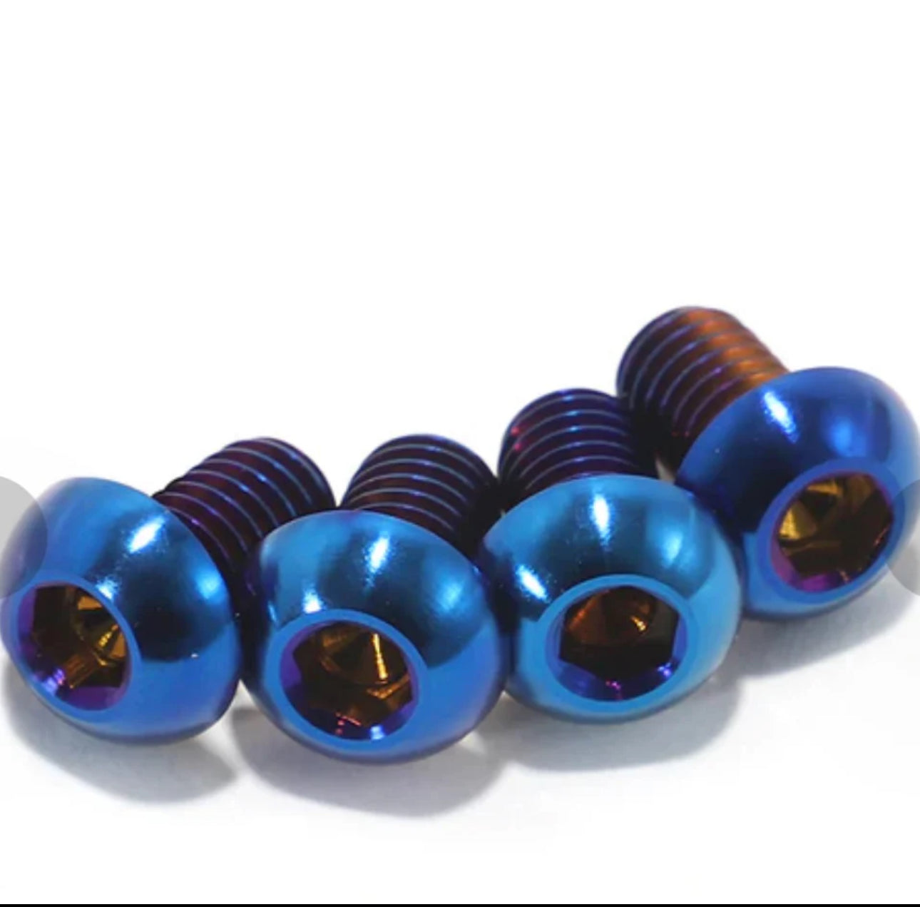 Titanium Talaria Bash Guard Bolts